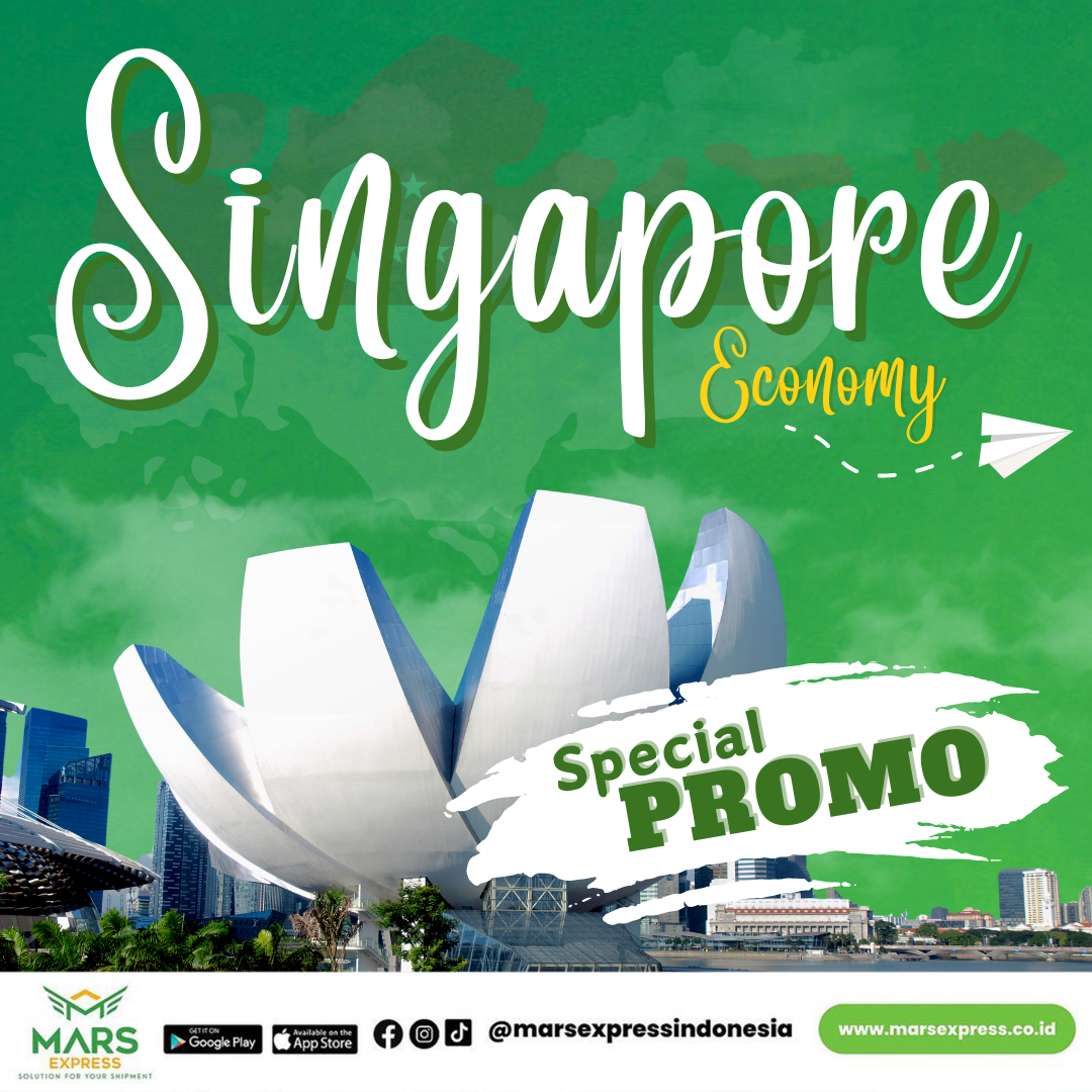 Tarif ongkir kirim paket ke Singapore semakin murah 1 hari sampai ke penerima